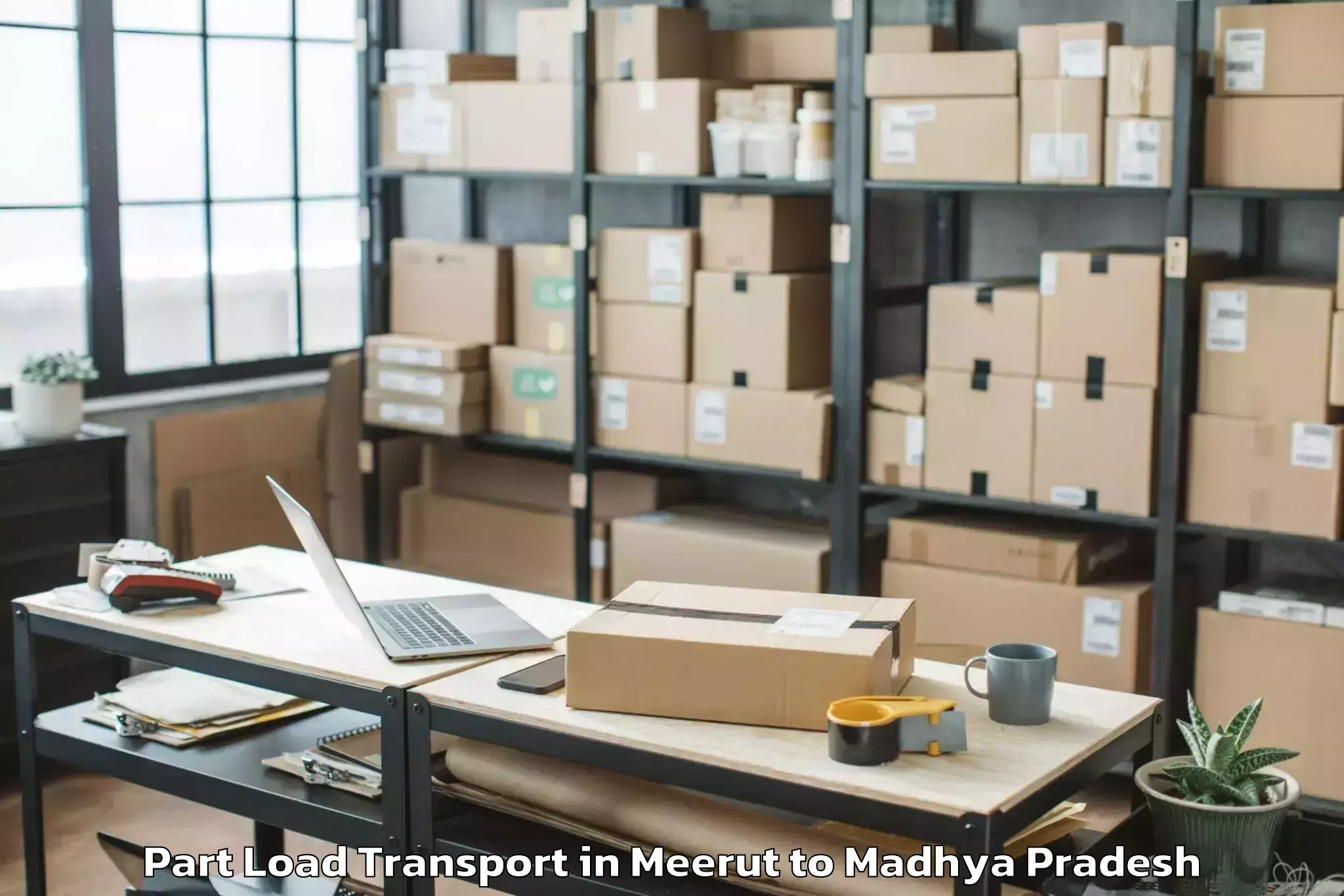 Top Meerut to Tarana Ujjain Part Load Transport Available